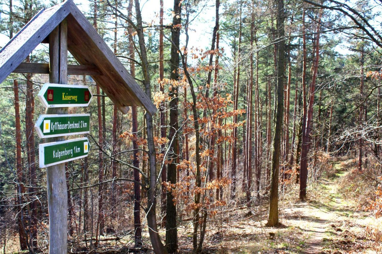 Burghof Kyffhaeuser Бад-Франкенхаузен-Кифхойзер Экстерьер фото