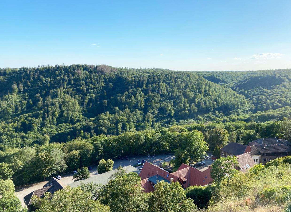 Burghof Kyffhaeuser Бад-Франкенхаузен-Кифхойзер Экстерьер фото
